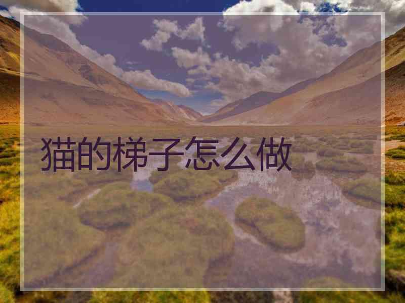 猫的梯子怎么做