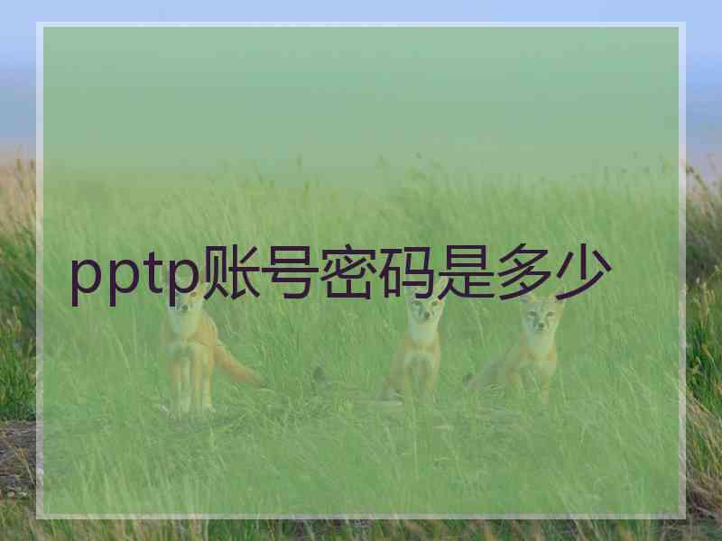 pptp账号密码是多少