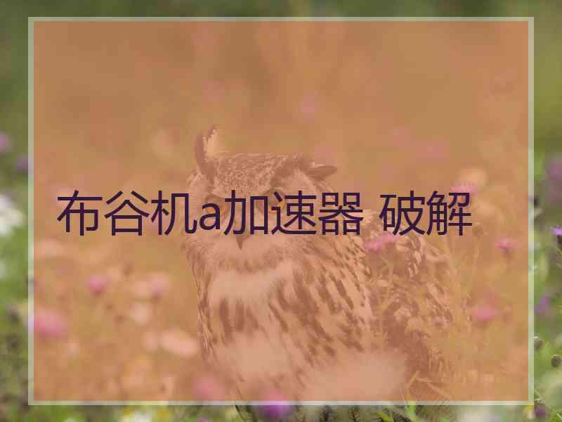 布谷机a加速器 破解