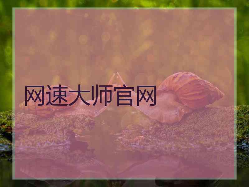网速大师官网