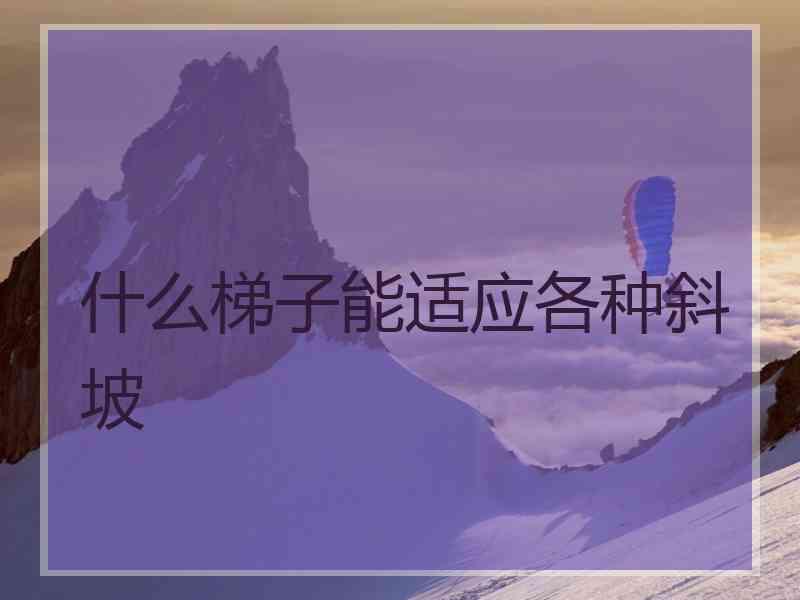 什么梯子能适应各种斜坡