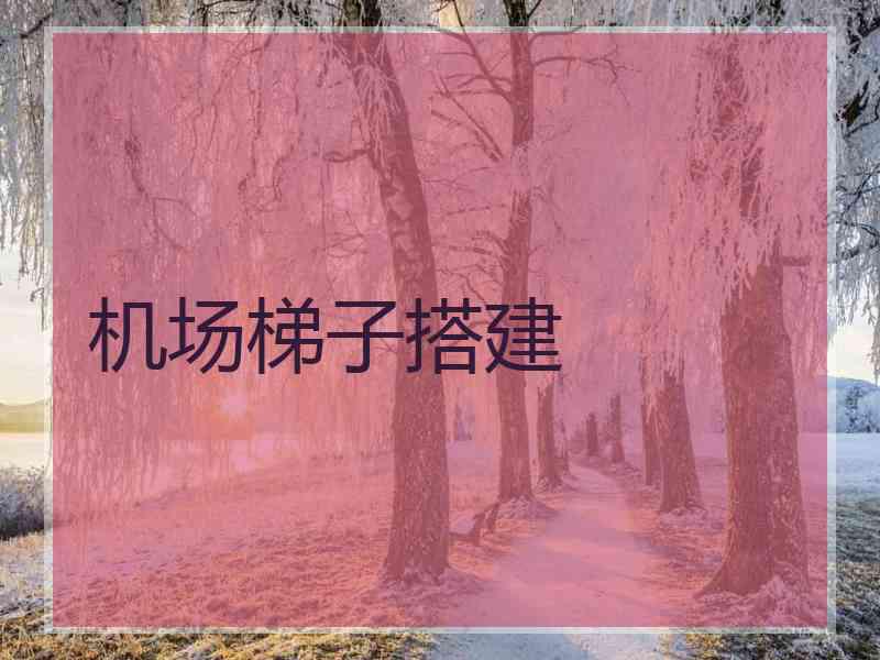 机场梯子搭建