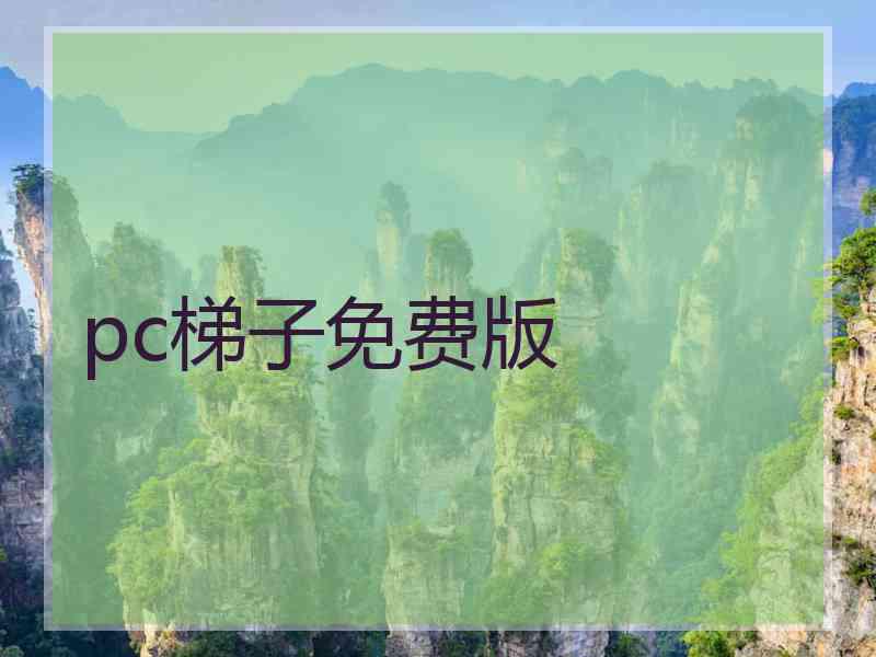pc梯子免费版