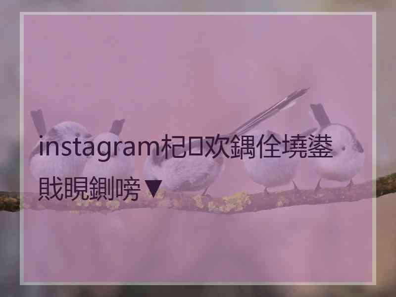 instagram杞欢鍝佺墝鍙戝睍鍘嗙▼