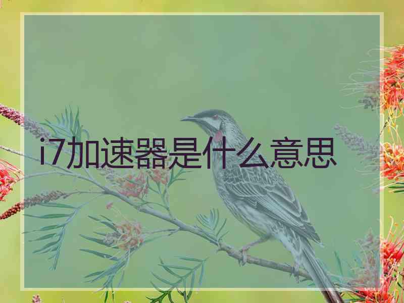 i7加速器是什么意思