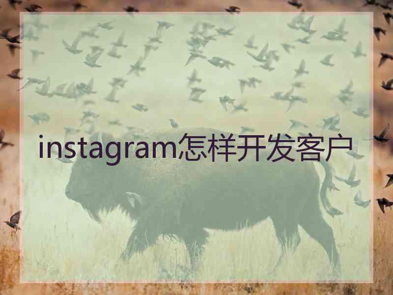 instagram怎样开发客户
