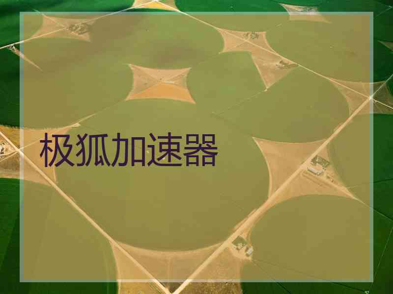 极狐加速器