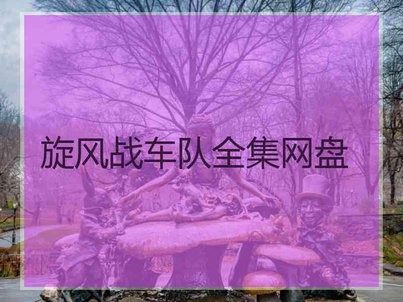旋风战车队全集网盘