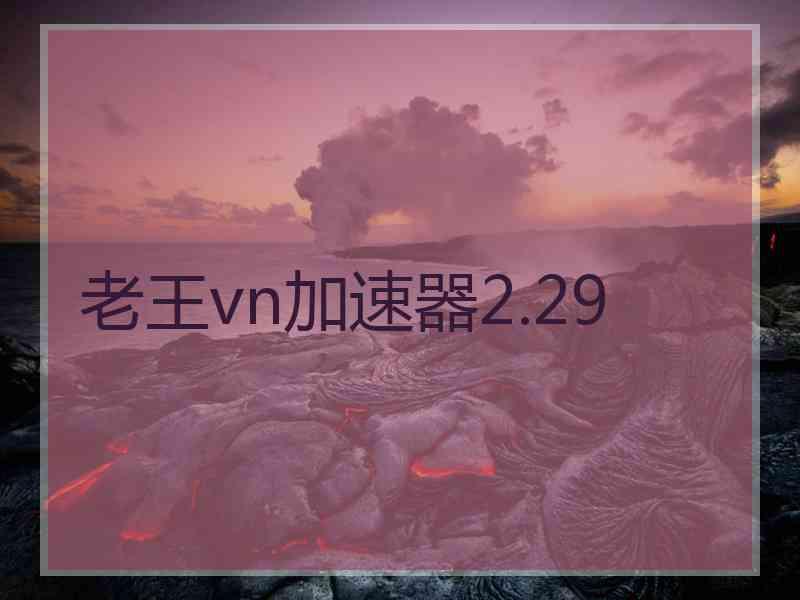 老王vn加速器2.29