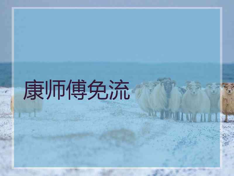 康师傅免流
