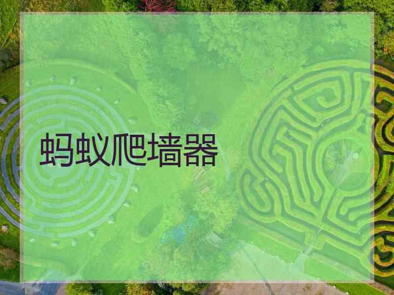 蚂蚁爬墙器