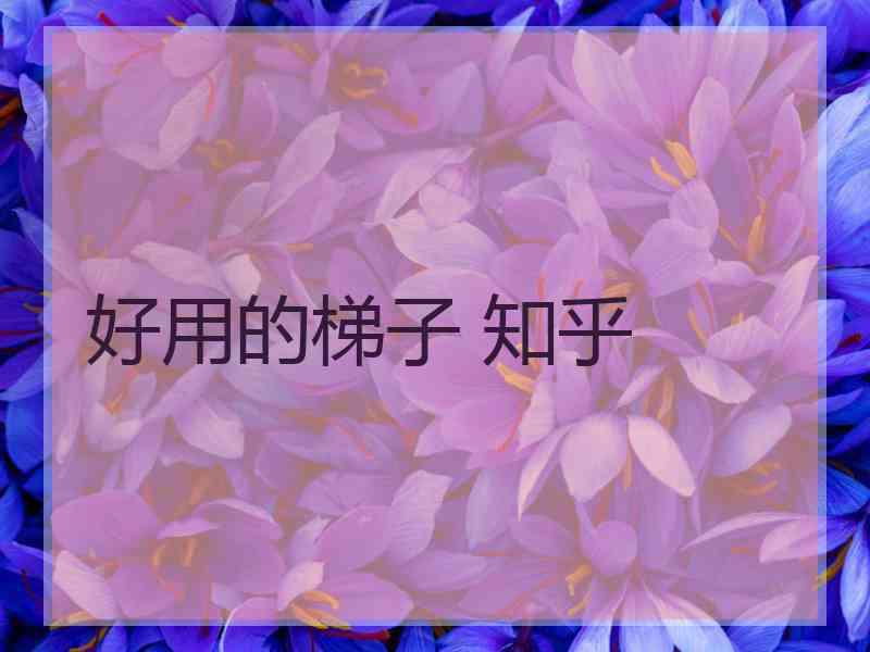 好用的梯子 知乎