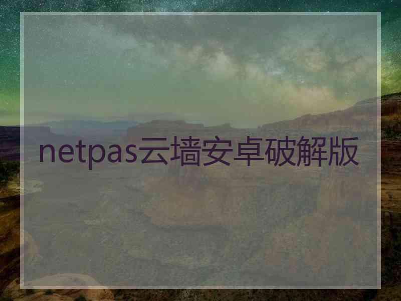 netpas云墙安卓破解版