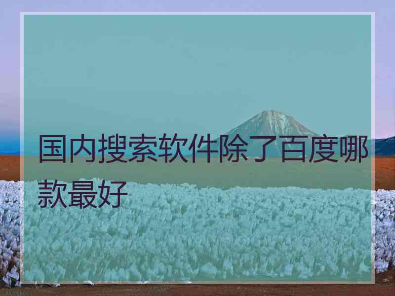 国内搜索软件除了百度哪款最好