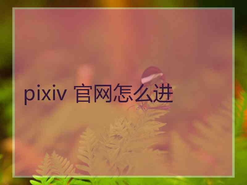 pixiv 官网怎么进