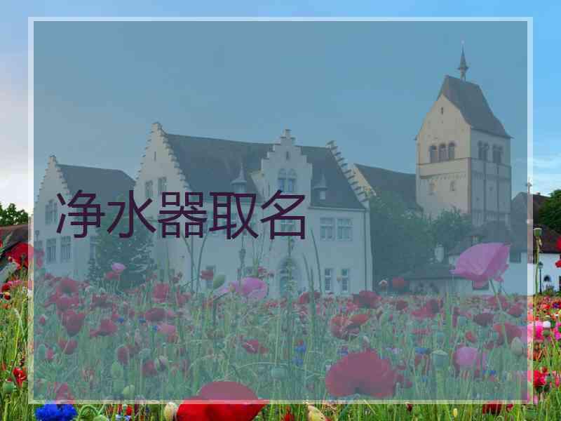 净水器取名