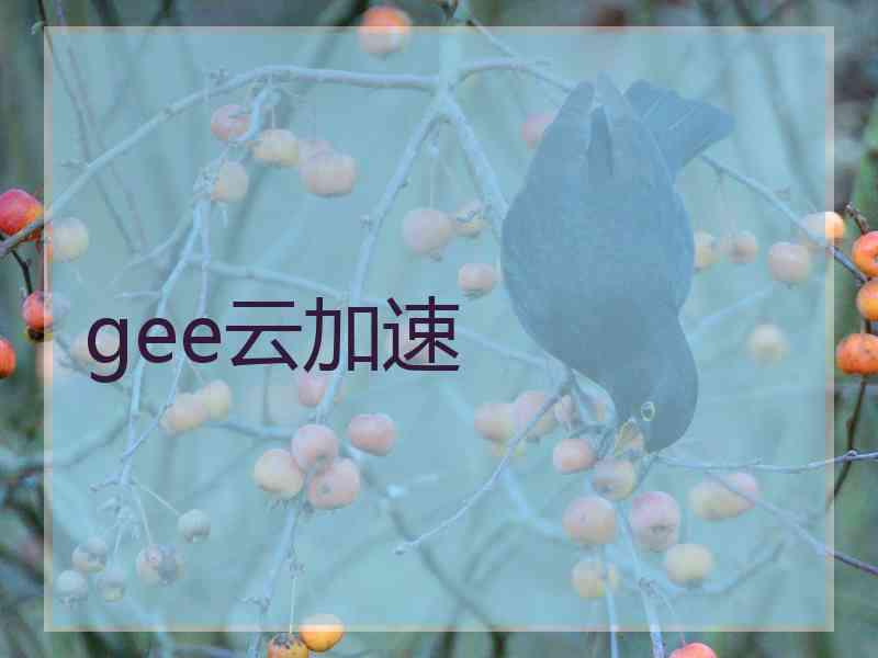 gee云加速