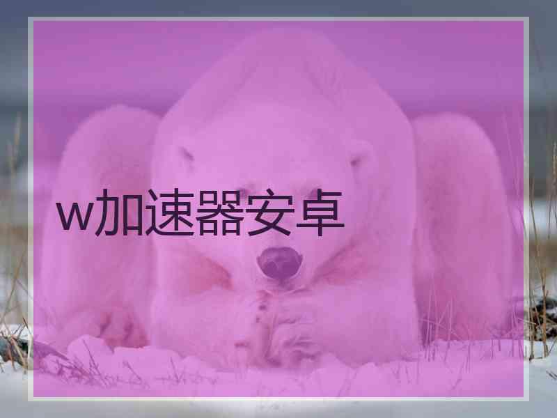 w加速器安卓