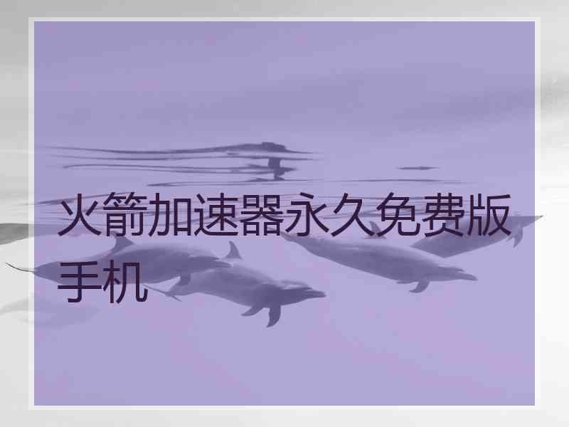 火箭加速器永久免费版手机