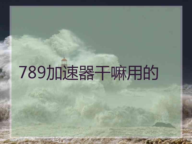 789加速器干嘛用的