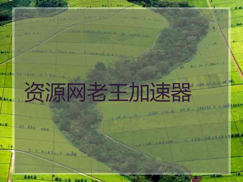 资源网老王加速器