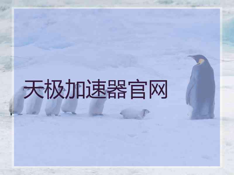 天极加速器官网