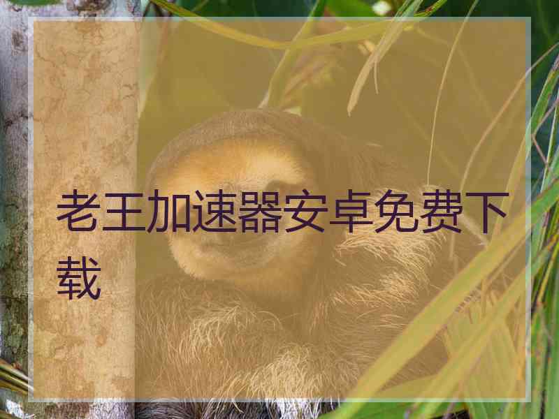 老王加速器安卓免费下载