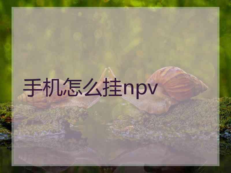 手机怎么挂npv