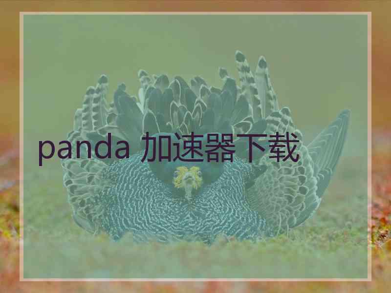 panda 加速器下载