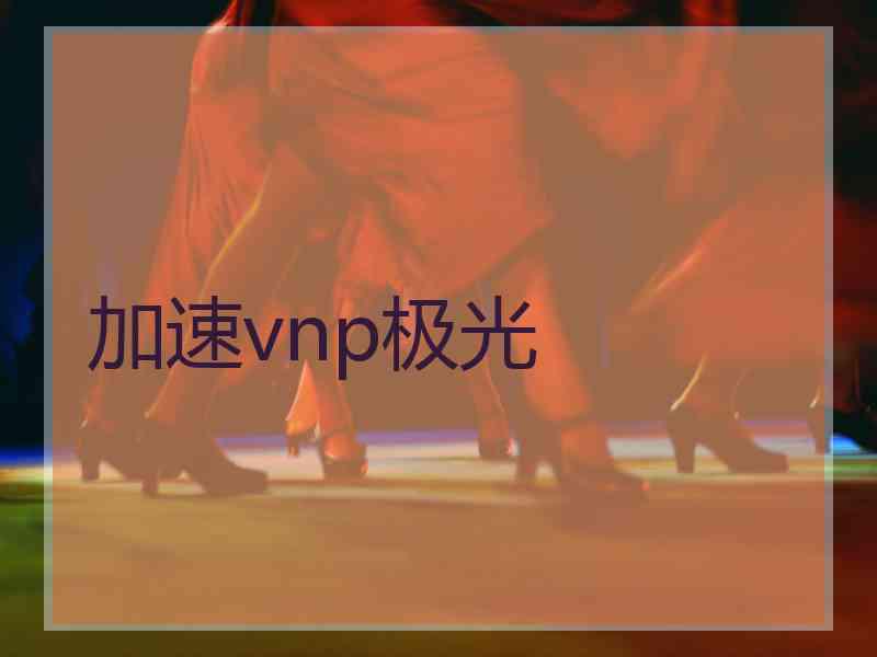加速vnp极光