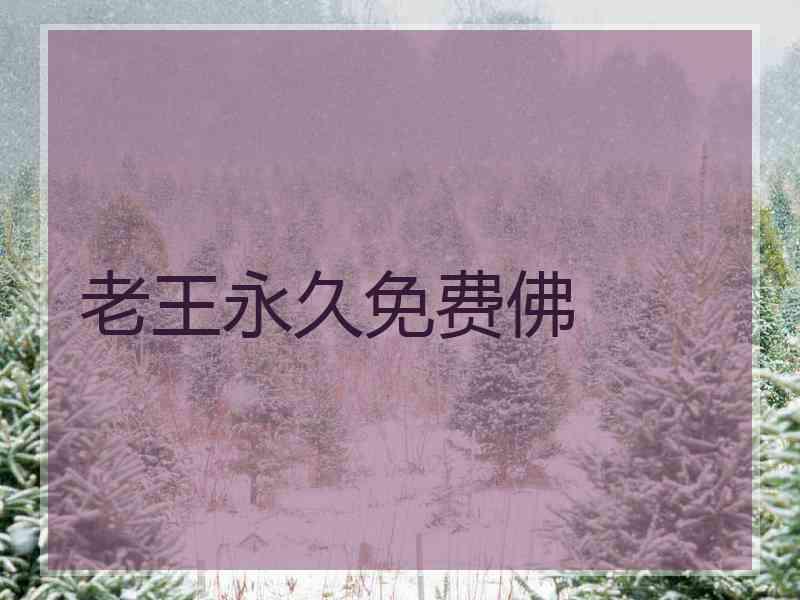老王永久免费佛