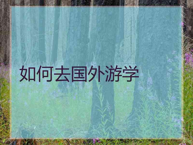 如何去国外游学