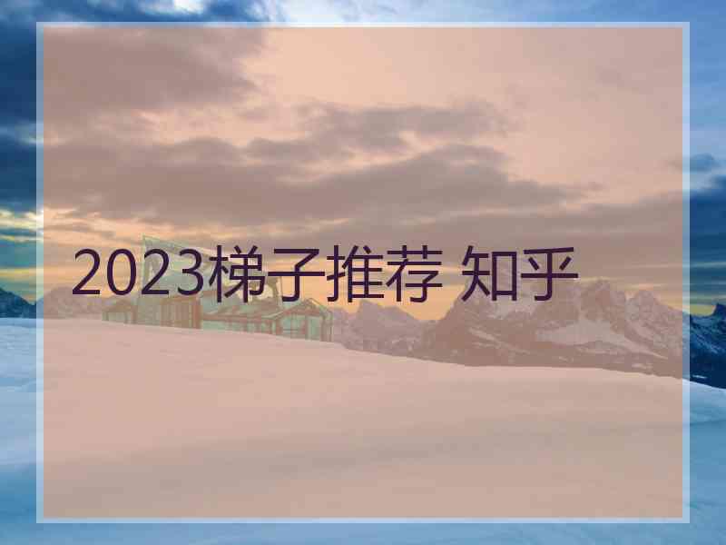 2023梯子推荐 知乎
