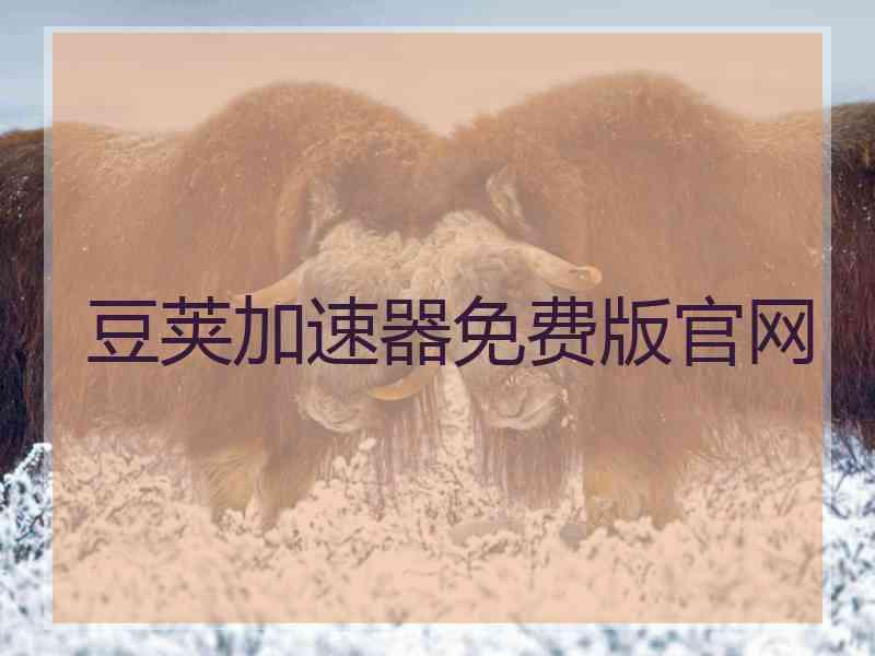 豆荚加速器免费版官网