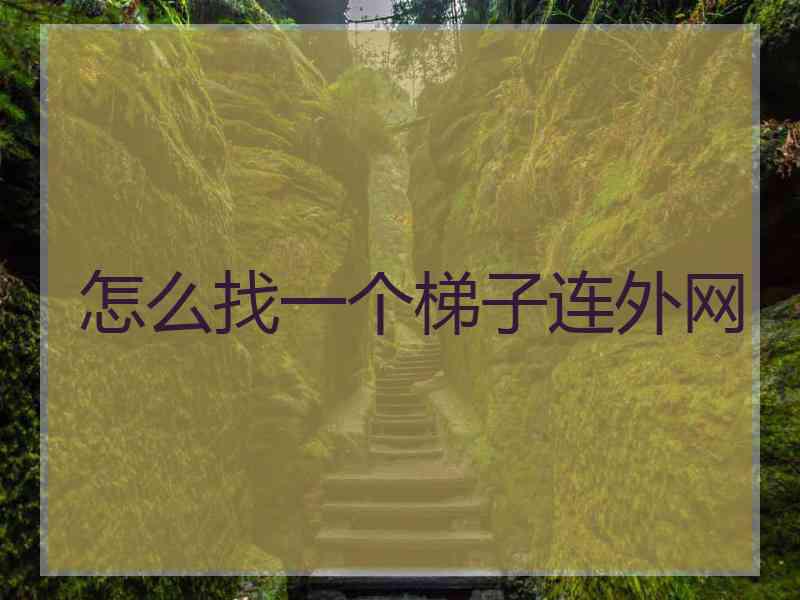 怎么找一个梯子连外网
