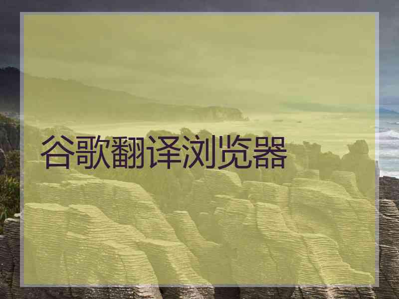 谷歌翻译浏览器