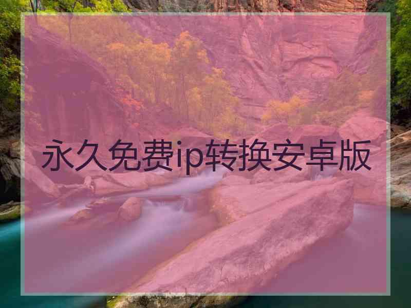 永久免费ip转换安卓版