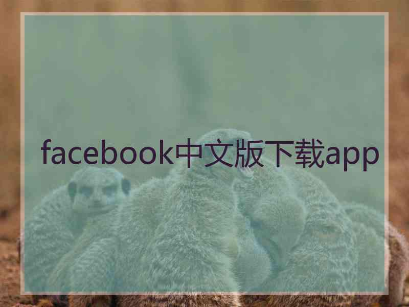 facebook中文版下载app