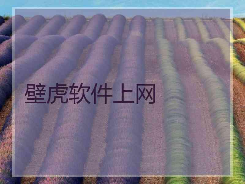 壁虎软件上网
