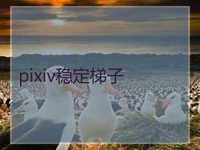 pixiv稳定梯子