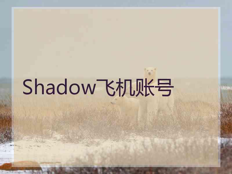 Shadow飞机账号