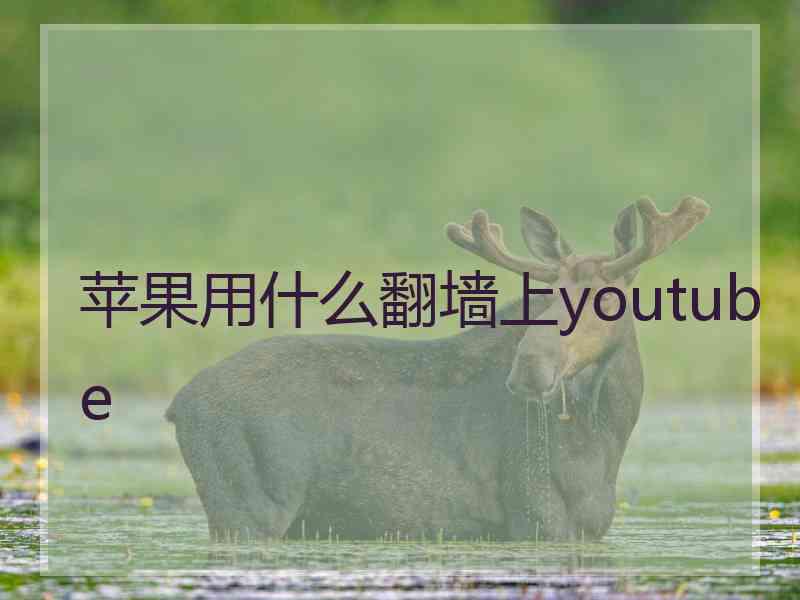 苹果用什么翻墙上youtube