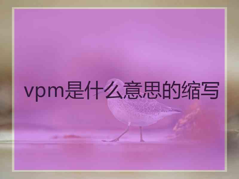 vpm是什么意思的缩写