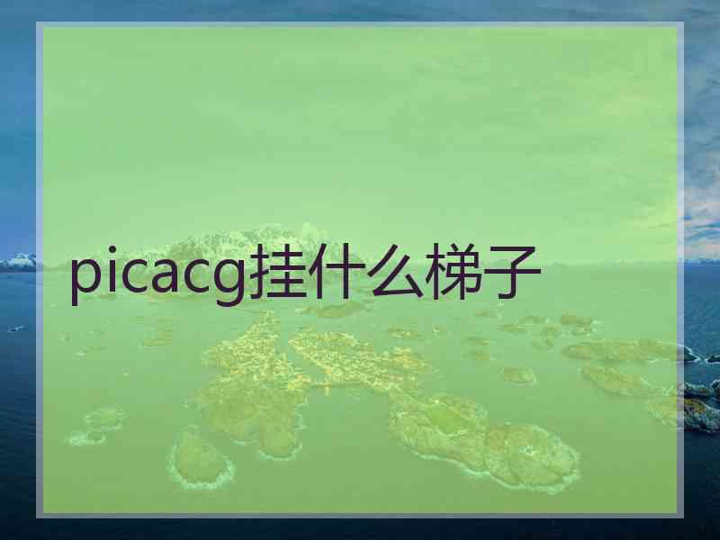 picacg挂什么梯子