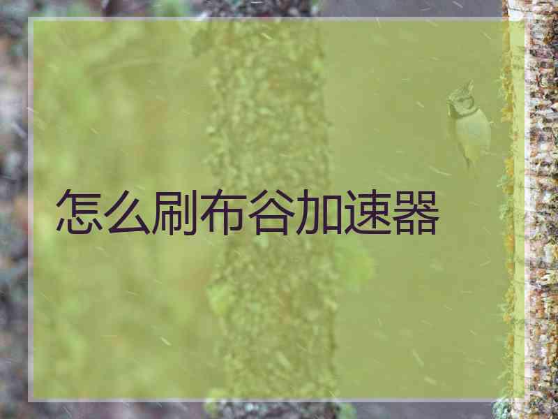怎么刷布谷加速器