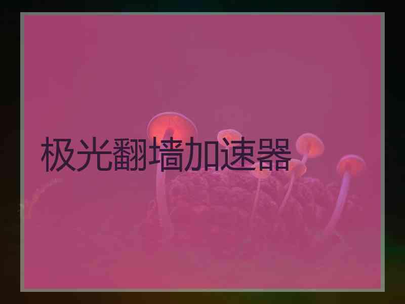 极光翻墙加速器