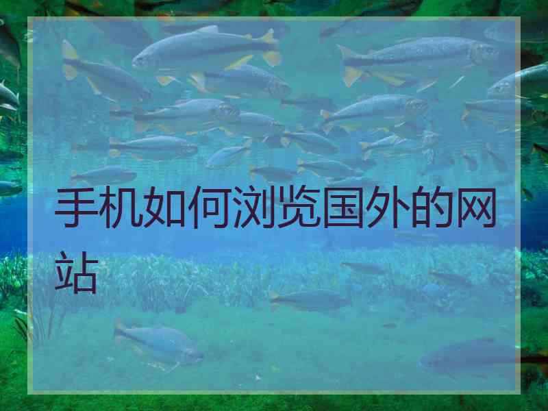 手机如何浏览国外的网站
