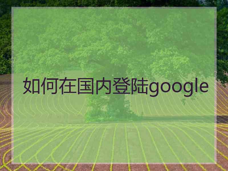 如何在国内登陆google