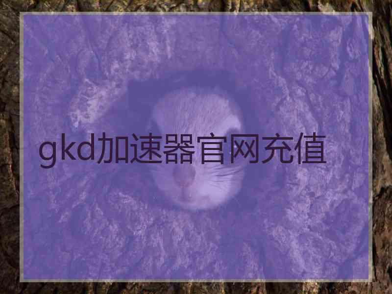 gkd加速器官网充值