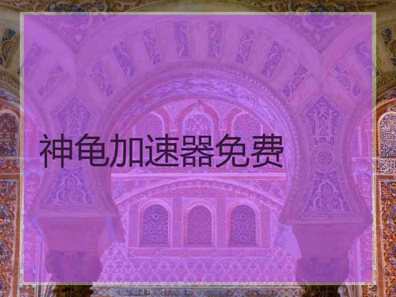 神龟加速器免费